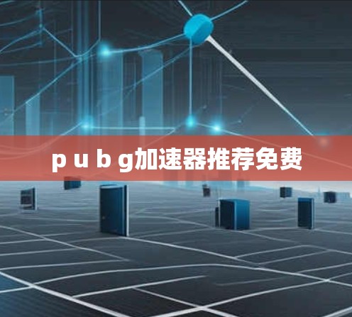 p u b g加速器推荐免费