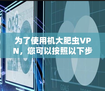 为了使用机大肥虫VPN，您可以按照以下步骤操作