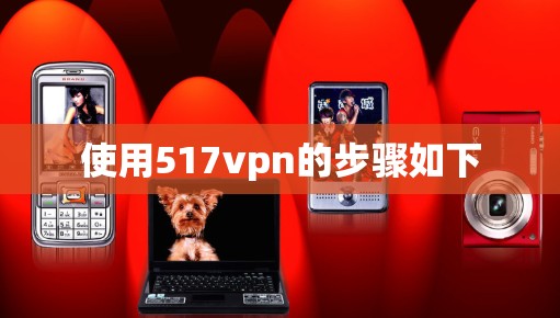 使用517vpn的步骤如下