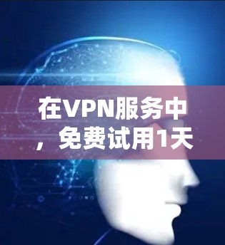 在VPN服务中，免费试用1天通常是指用户可以通过特定的平台或服务在一段时间内获得免费使用。以下是对如何在VPN免费试用1天的问题的详细解答