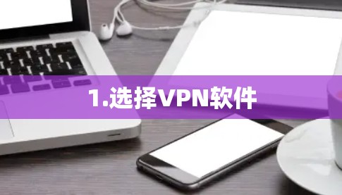 1.选择VPN软件