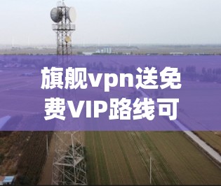 旗舰vpn送免费VIP路线可能指的是某个特定品牌的活动或优惠，具体含义需要结合上下文进行理解。以下是几种可能的解释和建议