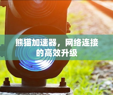 熊猫加速器，网络连接的高效升级