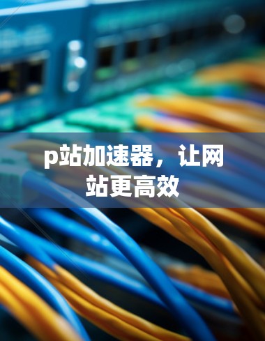 p站加速器，让网站更高效