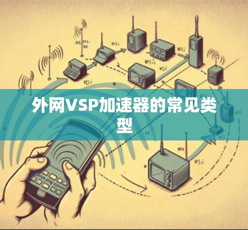 外网VSP加速器的常见类型 外网VSP加速器的常见类型