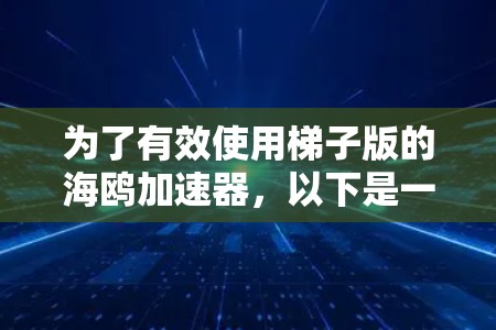 为了有效使用梯子版的海鸥加速器，以下是一个逐步指南