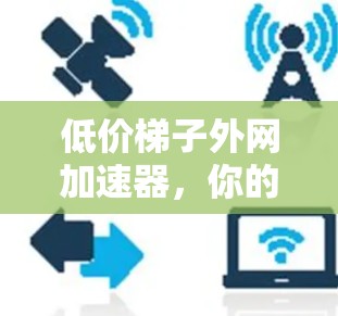 低价梯子外网加速器，你的首选？