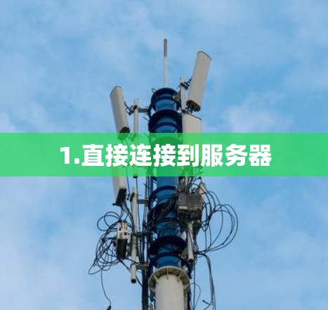 1.直接连接到服务器