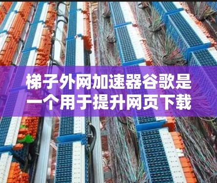 梯子外网加速器谷歌是一个用于提升网页下载速度的工具,主要通过优化网页结构、缓存技术和减少请求次数等方法来实现。以下是对该工具的详细说明 梯子外网加速器谷歌是一个用于提升网页下载速度的工具,主要通过优化网页结构、缓存技术和减少请求次数等方法来实现。以下是对该工具的详细说明