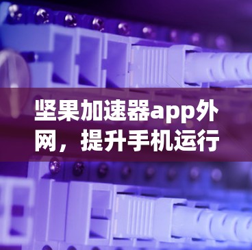 坚果加速器app外网,提升手机运行速度的快捷解决方案 坚果加速器app外网,提升手机运行速度的快捷解决方案