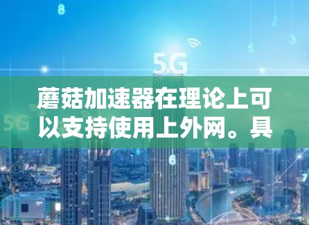 蘑菇加速器在理论上可以支持使用上外网。具体使用情况取决于以下因素 蘑菇加速器在理论上可以支持使用上外网。具体使用情况取决于以下因素