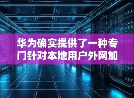 华为确实提供了一种专门针对本地用户外网加速的网络加速器，称为 天行一测。它可以帮助用户在使用华为设备时，快速连接到外网，提升数据传输速度。以下是关于天行一测的一些关键信息