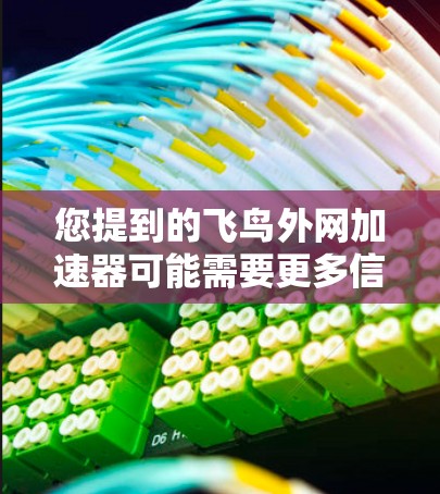 您提到的飞鸟外网加速器可能需要更多信息来准确回答。如果您指的是飞鸟网（飞鸟会）的加速工具，通常使用飞鸟会的加速器是为了更快速地访问飞鸟会网站的资源