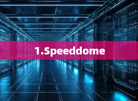 1.Speeddome