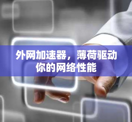 外网加速器，薄荷驱动你的网络性能