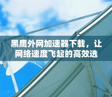黑鹰外网加速器下载，让网络速度飞起的高效选择