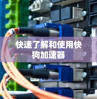 快速了解和使用快狗加速器 快速了解和使用快狗加速器