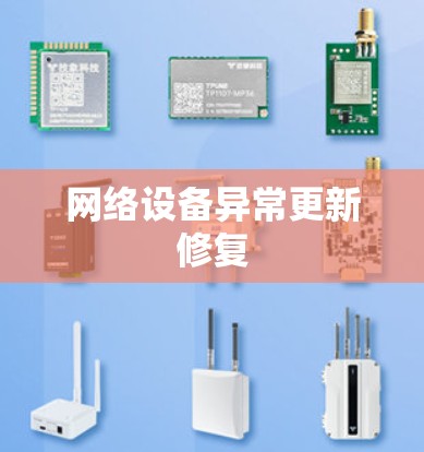网络设备异常更新修复