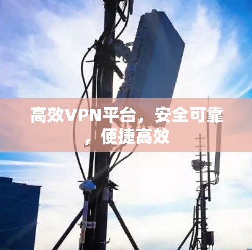 高效VPN平台，安全可靠，便捷高效