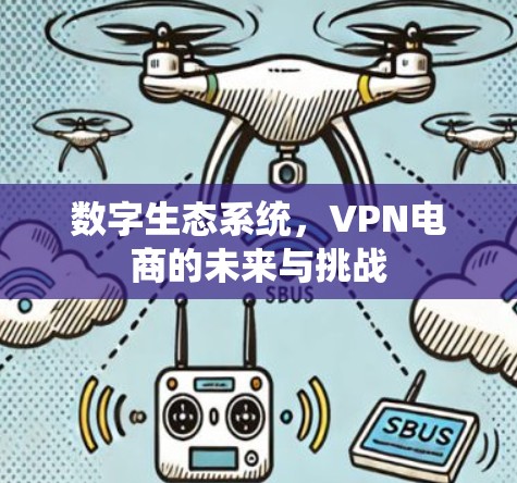 数字生态系统,VPN电商的未来与挑战 数字生态系统,VPN电商的未来与挑战