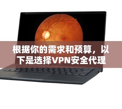 根据你的需求和预算，以下是选择VPN安全代理软件的建议
