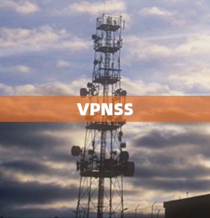 VPNSS VPNSS
