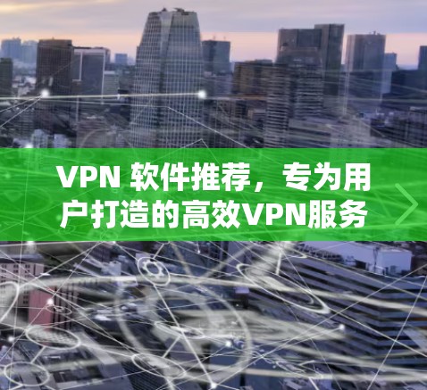 VPN 软件推荐,专为用户打造的高效VPN服务 VPN 软件推荐,专为用户打造的高效VPN服务