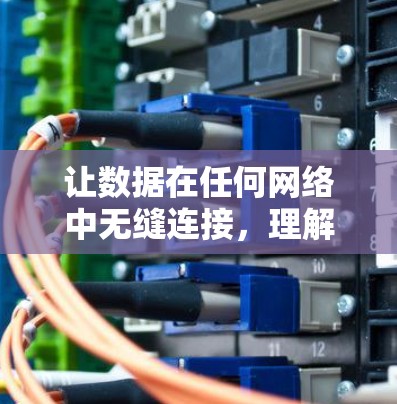 让数据在任何网络中无缝连接,理解VLESS的通信技巧 让数据在任何网络中无缝连接,理解VLESS的通信技巧