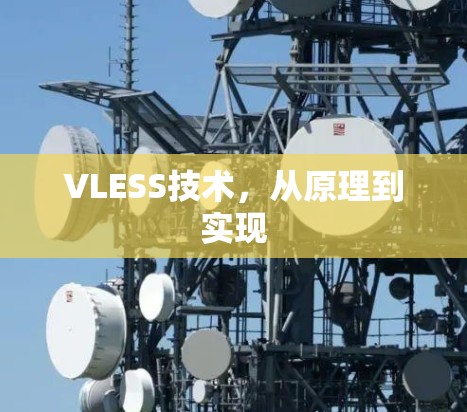 VLESS技术，从原理到实现