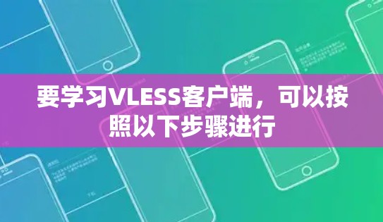 要学习VLESS客户端,可以按照以下步骤进行 要学习VLESS客户端,可以按照以下步骤进行