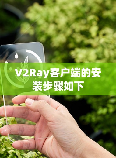 V2Ray客户端的安装步骤如下