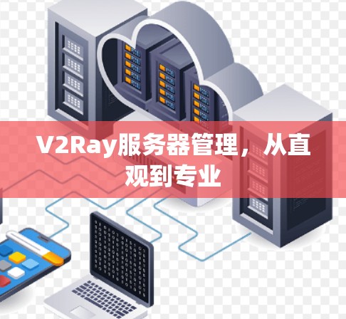 V2Ray服务器管理,从直观到专业 V2Ray服务器管理,从直观到专业