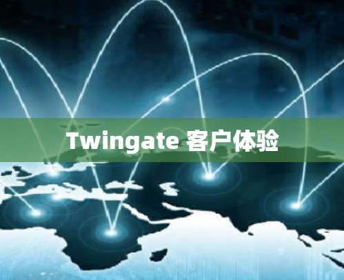 Twingate 客户体验