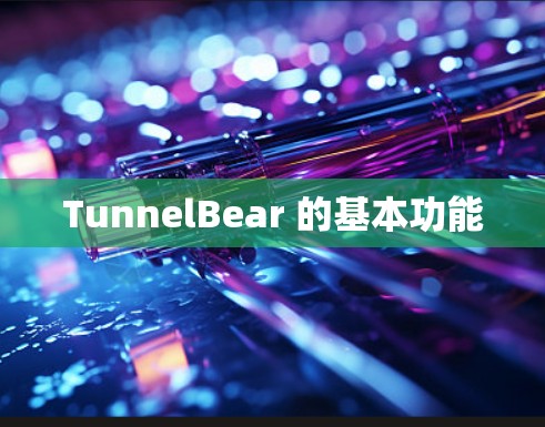 TunnelBear 的基本功能 TunnelBear 的基本功能