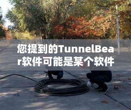 您提到的TunnelBear软件可能是某个软件的名称，但没有提供足够的信息来确定其具体功能和用途。为了帮助您找到所需软件，建议您提供更多细节，例如