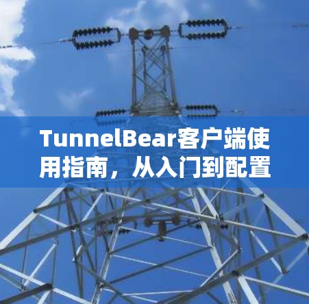 TunnelBear客户端使用指南，从入门到配置完成
