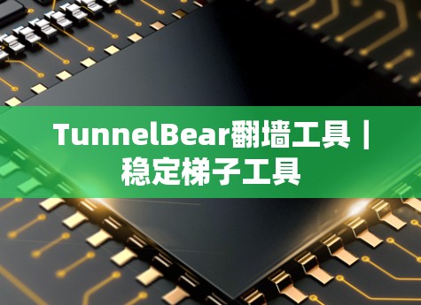 TunnelBear翻墙工具｜稳定梯子工具