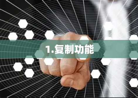 1.复制功能 1.复制功能