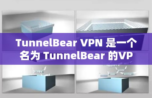 TunnelBear VPN 是一个名为 TunnelBear 的VPN服务，提供多种VPN功能，包括在线会议、文件下载和视频会议等。以下是使用 TunnelBear VPN 的手机客户端的基本步骤