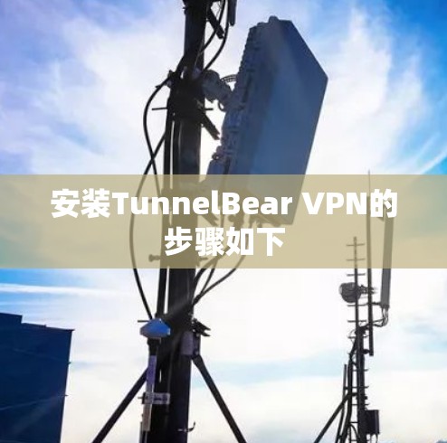 安装TunnelBear VPN的步骤如下