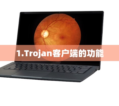 1.Trojan客户端的功能 1.Trojan客户端的功能