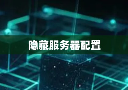 隐藏服务器配置
