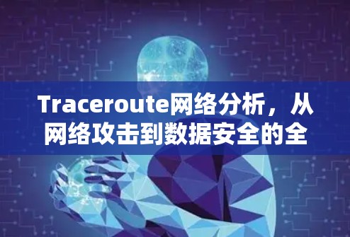 Traceroute网络分析，从网络攻击到数据安全的全面评估