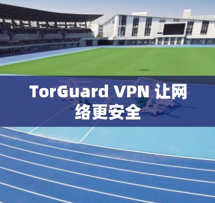 TorGuard VPN 让网络更安全 TorGuard VPN 让网络更安全