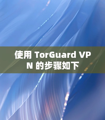 使用 TorGuard VPN 的步骤如下