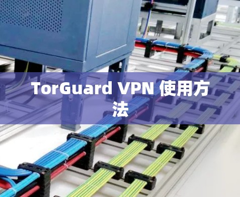 TorGuard VPN 使用方法 TorGuard VPN 使用方法
