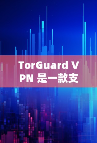 TorGuard VPN 是一款支持 Tor 服务的VPN客户端，适合喜欢 Tor 领域的用户使用。以下是 TorGuard 的推荐，以及一些替代方案的建议