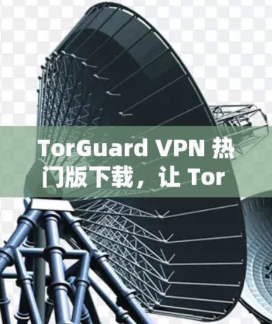 TorGuard VPN 热门版下载,让 Tor 网站访问更安全高效! TorGuard VPN 热门版下载,让 Tor 网站访问更安全高效!