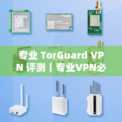 专业 TorGuard VPN 评测|专业VPN必备 专业 TorGuard VPN 评测|专业VPN必备