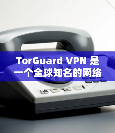 TorGuard VPN 是一个全球知名的网络过滤器，专为用户提供安全的VPN服务。为了下载其官方客户端，以下是一步步的指南